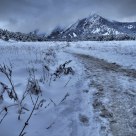 A Foot of Snow